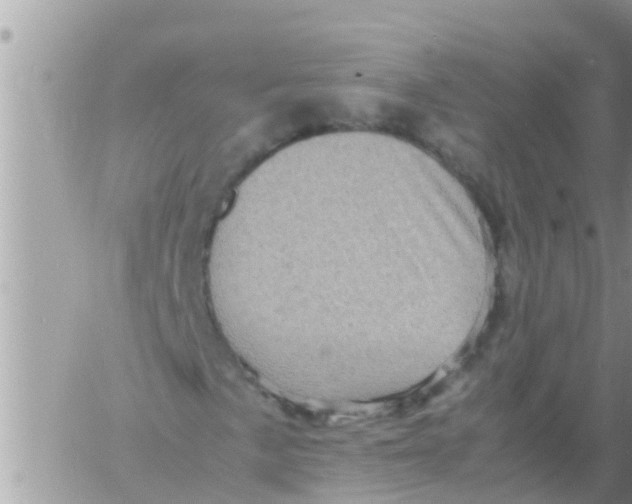 X0000061141057200512091928