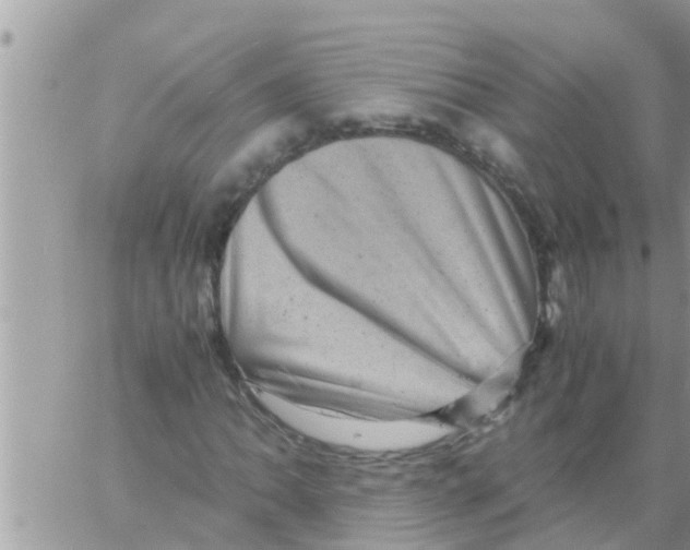 X0000061141062200512091928