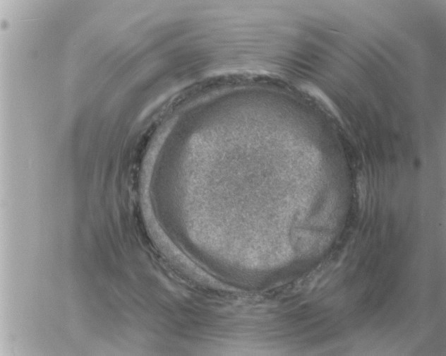 X0000061141064200512091928