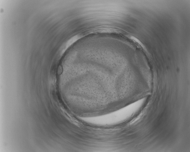 X0000061141065200512091928