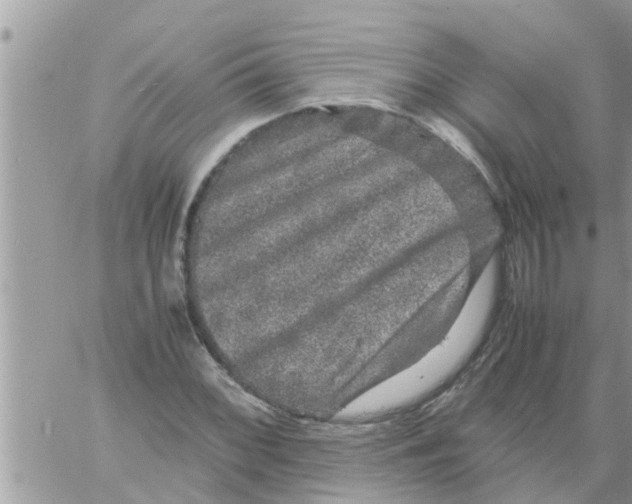 X0000061141068200512091928