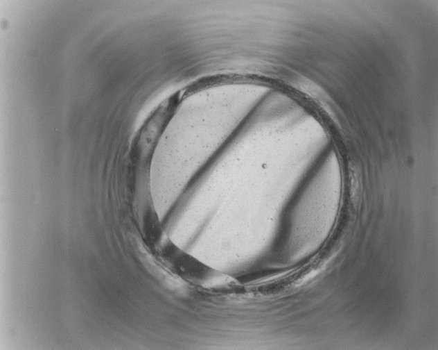 X0000061141069200512091928