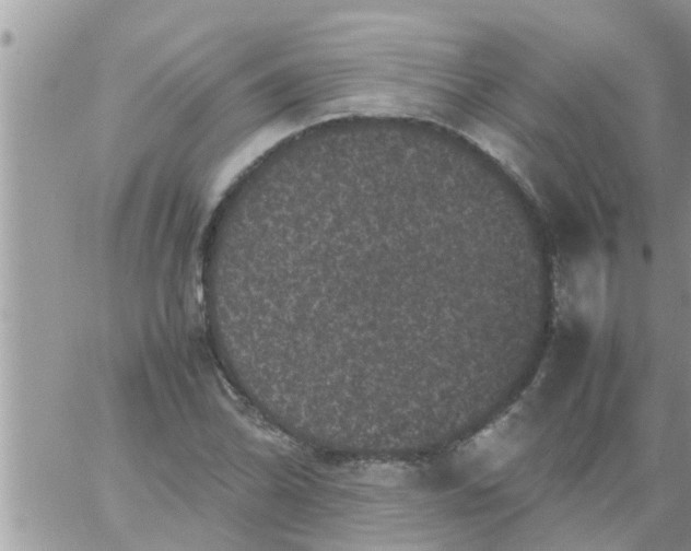 X0000061141070200512091928