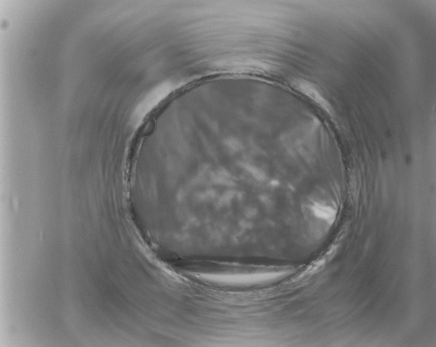 X0000061141071200512091928