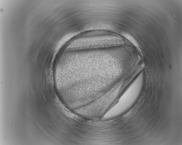 X0000061141072200512091928