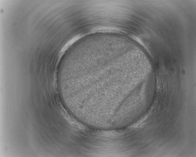 X0000061141074200512091928