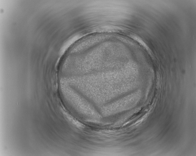 X0000061141075200512091928