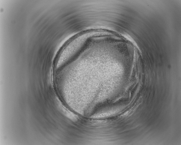 X0000061141076200512091928