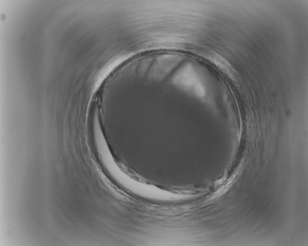 X0000061141077200512091928