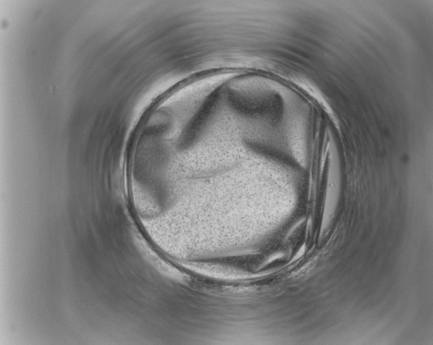 X0000061141080200512091928