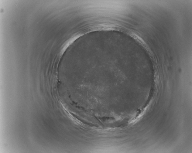 X0000061141081200512091928