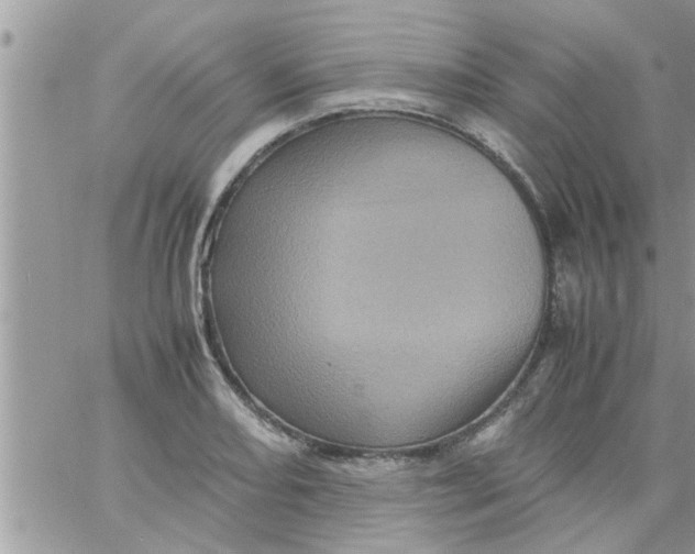 X0000061141082200512091928