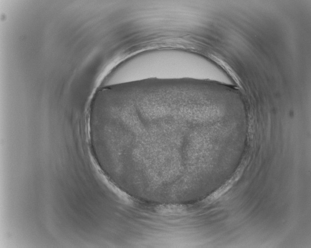 X0000061141083200512091928