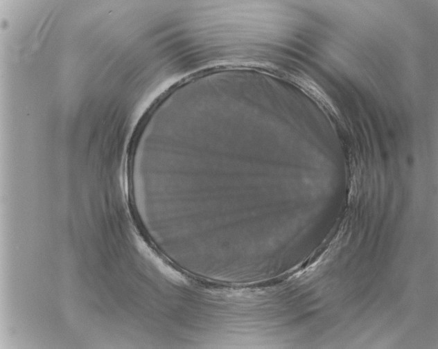 X0000061141084200512091928