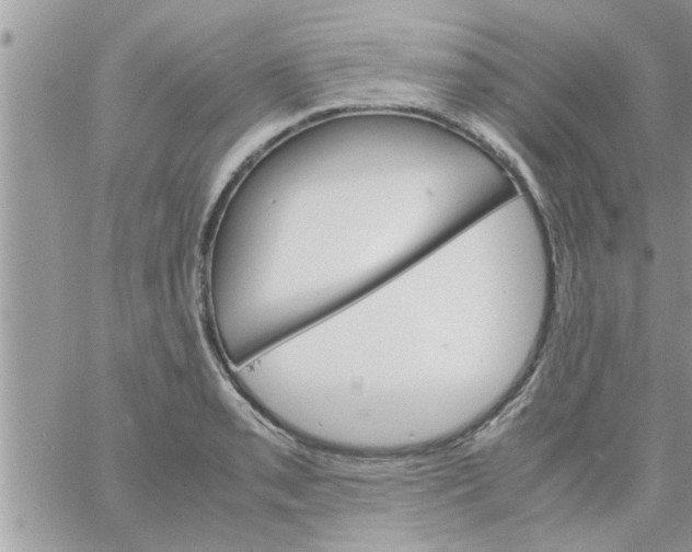 X0000061141085200512091928