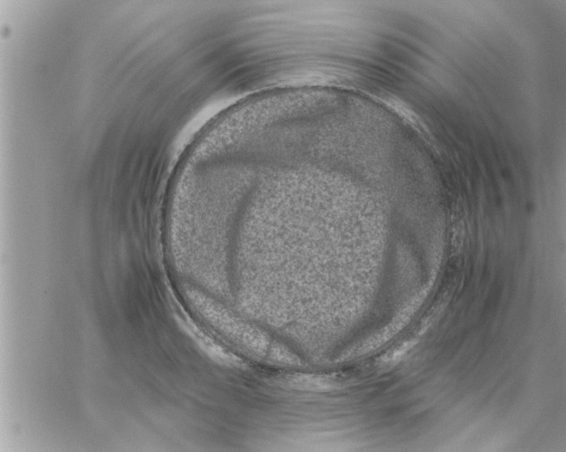 X0000061141086200512091928