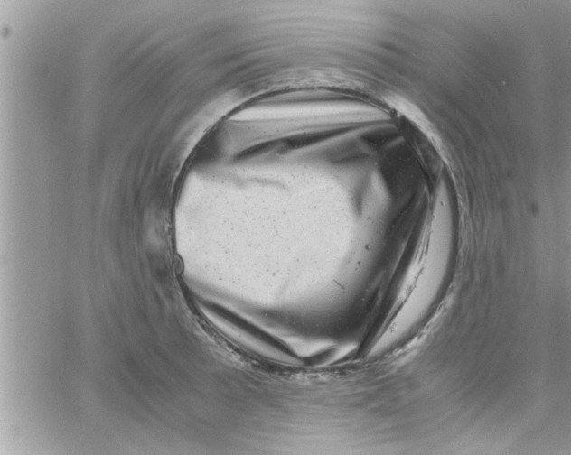 X0000061141089200512091928