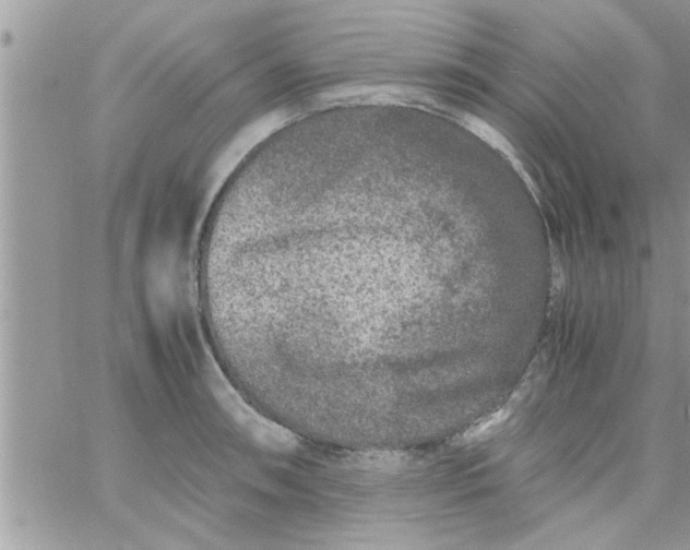 X0000061141090200512091927