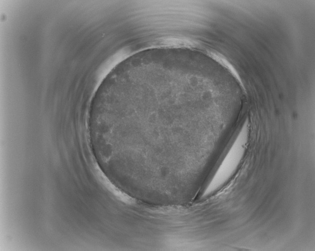 X0000061141091200512091927