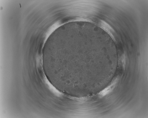 X0000061141092200512091927