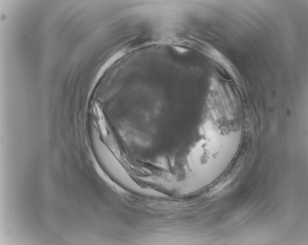 X0000061141095200512091927