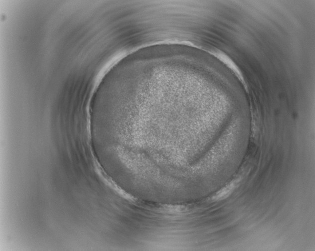 X0000061141096200512091927