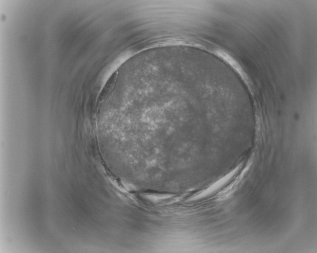 X0000061141097200512091927