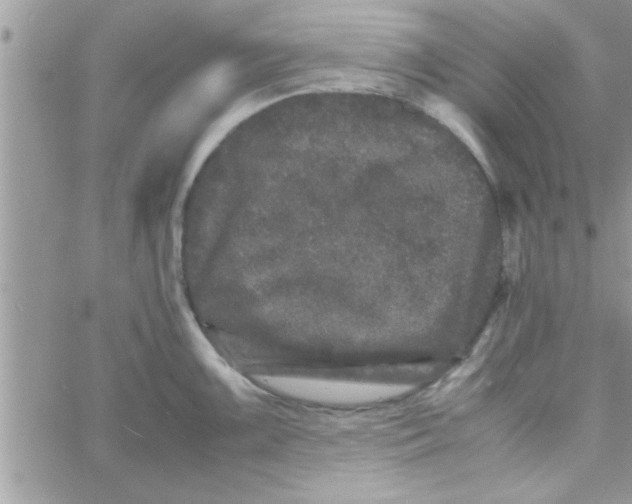 X0000061141099200512091927