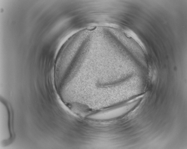 X0000061141100200512091927