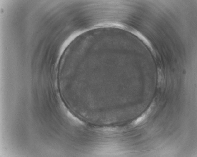 X0000061141102200512091927