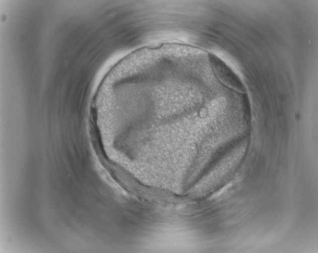 X0000061141104200512091927