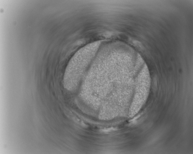 X0000061141105200512091926