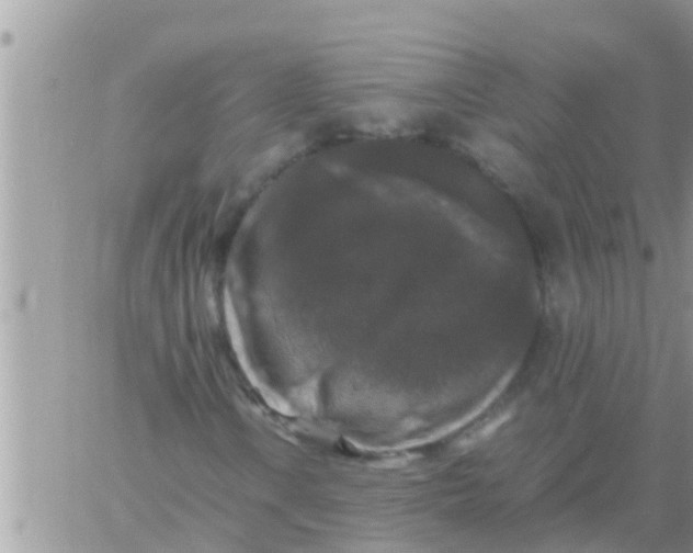 X0000061141106200512091927