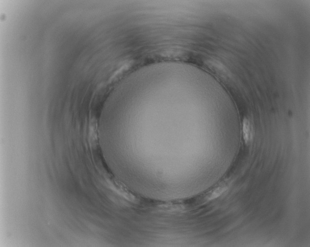 X0000061141107200512091927