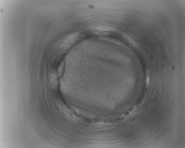 X0000061141108200512091927