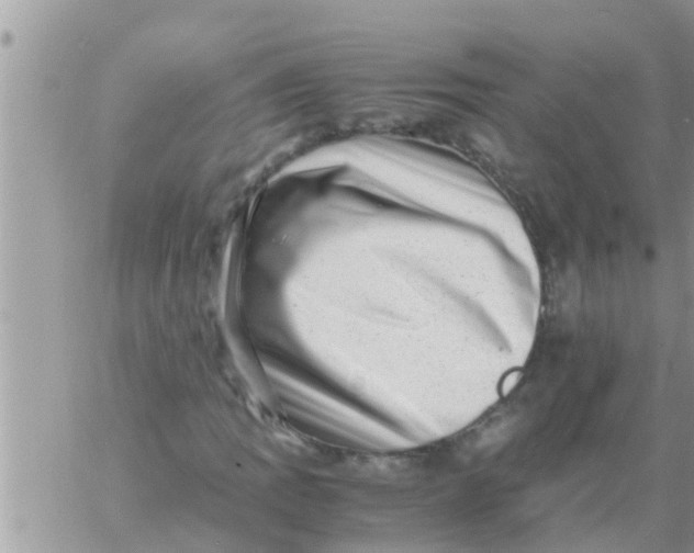 X0000061141109200512091927