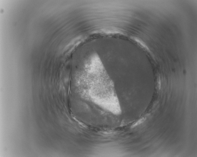 X0000061141110200512091927