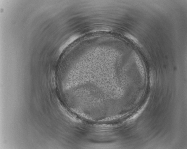 X0000061141113200512091927