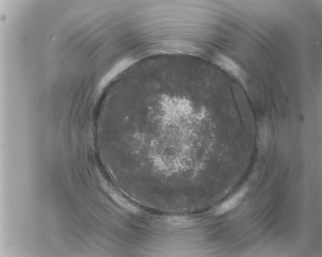 X0000061141114200512091927