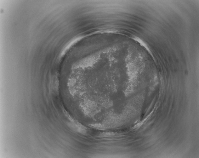 X0000061141115200512091927