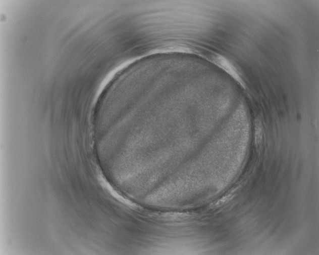 X0000061141116200512091927