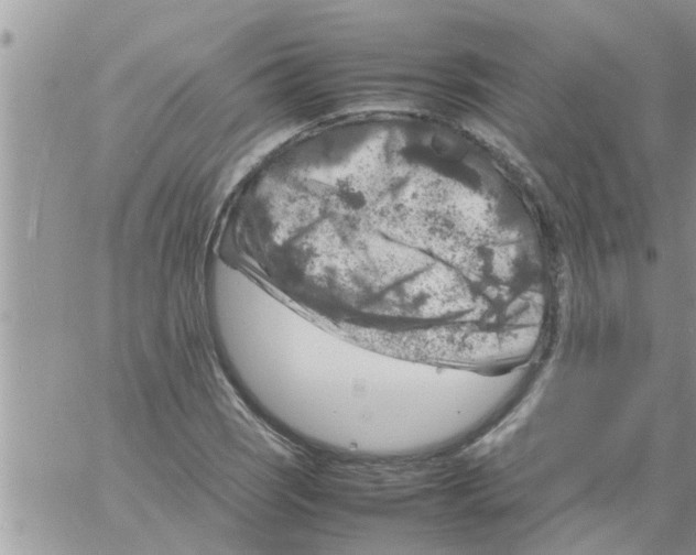 X0000061141121200512091927