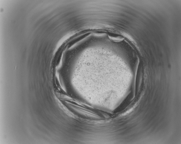 X0000061141122200512091927