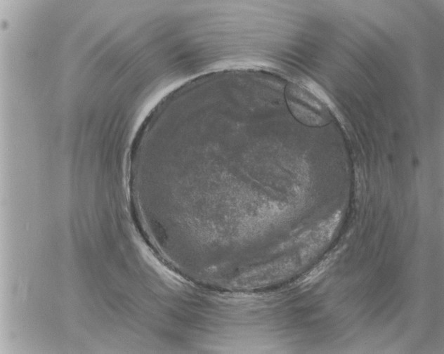 X0000061141124200512091927