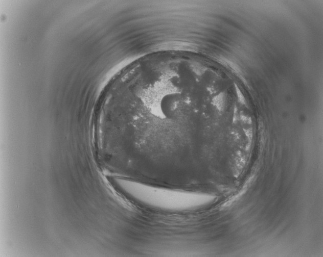 X0000061141125200512091927