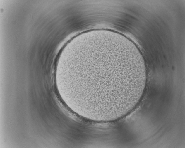 X0000061141126200512091927