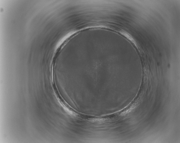 X0000061141127200512091927