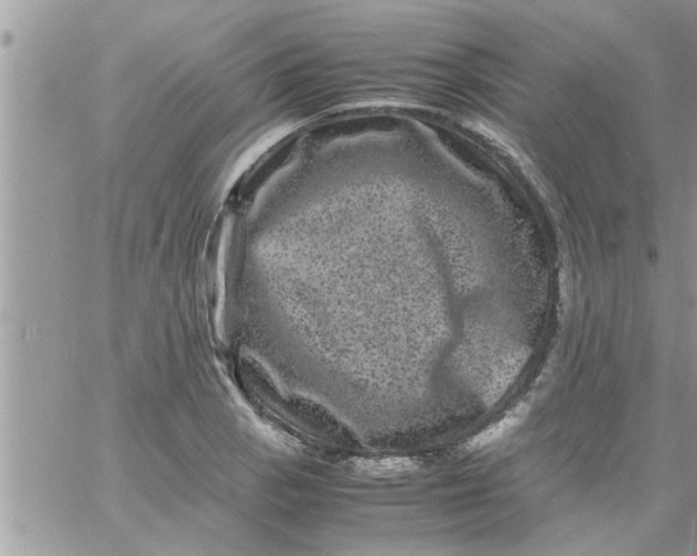 X0000061141129200512091927