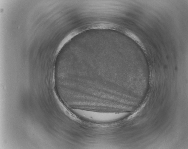 X0000061141130200512091927