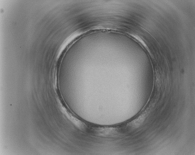 X0000061141131200512091927